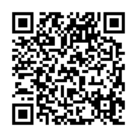 QR code for 51333