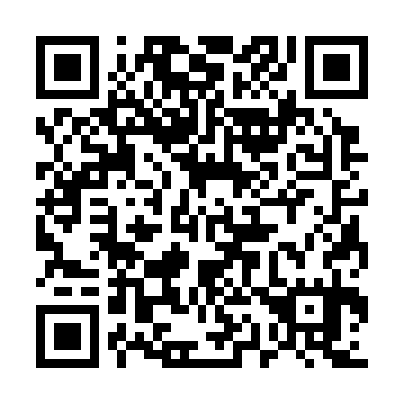 QR code for plate 513-335