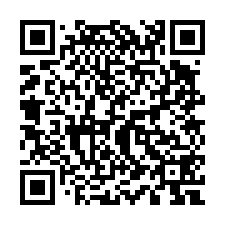 QR code for plate 513-458