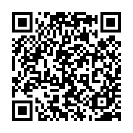 QR code for plate 513-487