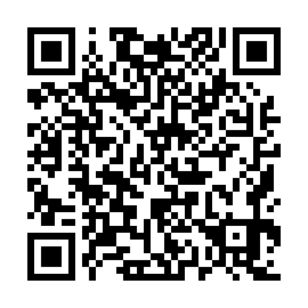 QR code for plate 519-071