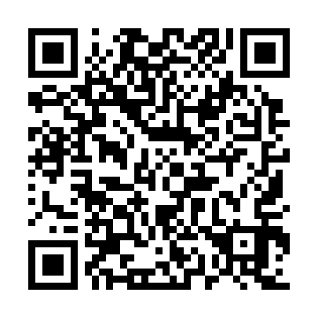 QR code for 519313