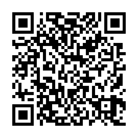 QR code for plate 519-729