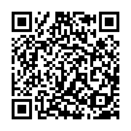 QR code for plate 520-199