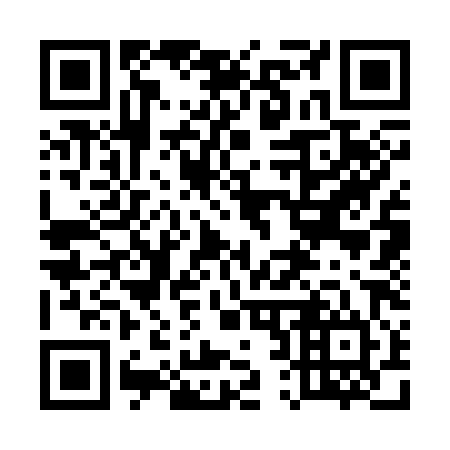 QR code for plate 523-384