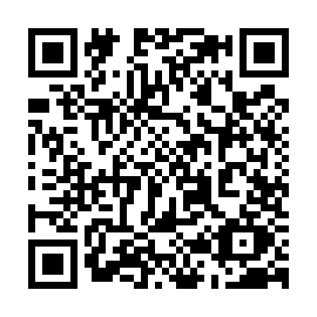 QR code for 5295