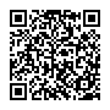 QR code for plate 538-007