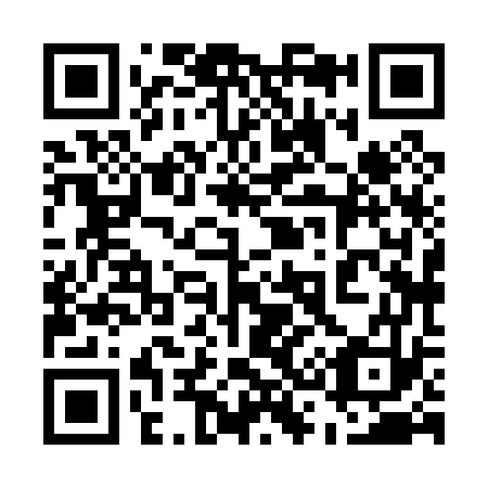 QR code for plate 538-073