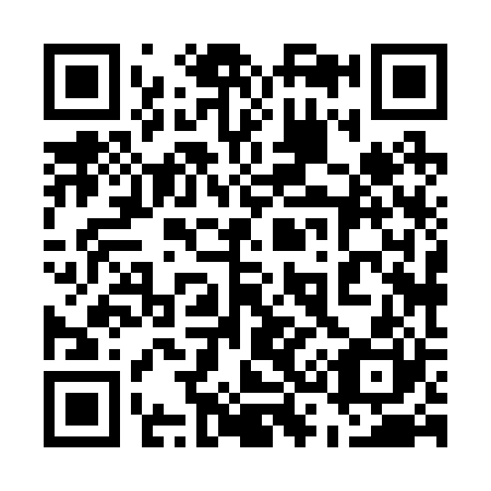 QR code for plate 538-220