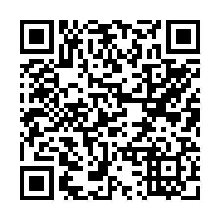 QR code for plate 538-228