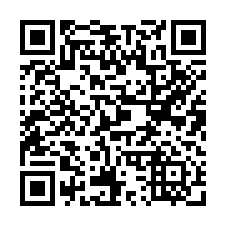 QR code for plate 538-311