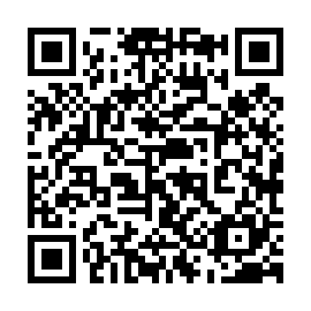 QR code for plate 538-425