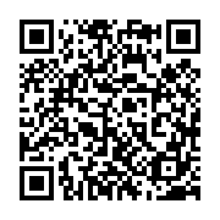 QR code for plate 538-472