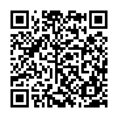 QR code for plate 538-526