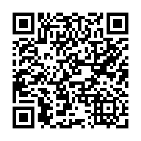 QR code for plate 538-939
