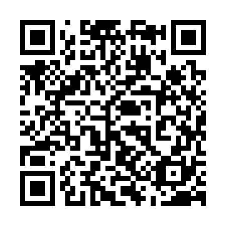 QR code for plate 539-370
