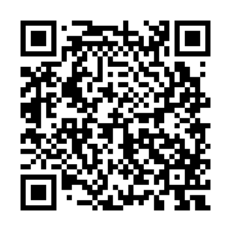 QR code for plate 540-387