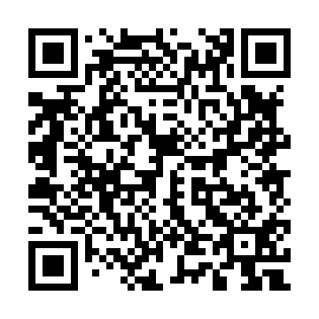 QR code for plate 540-811