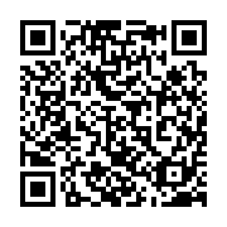 QR code for 541-311