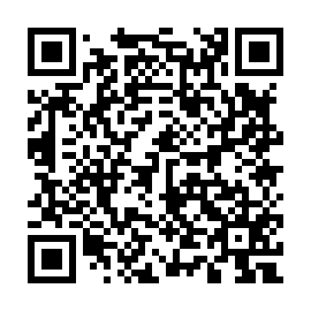 QR code for plate 541-855