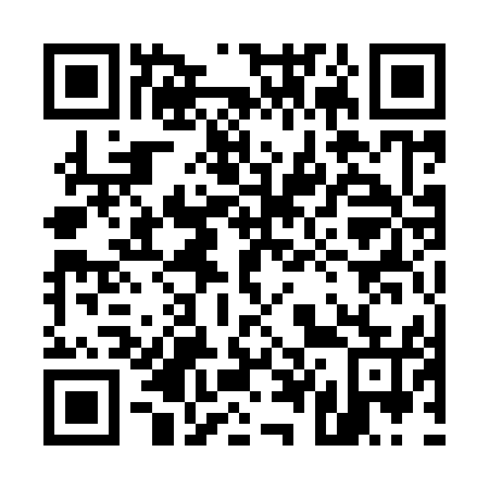 QR code for plate 541-955
