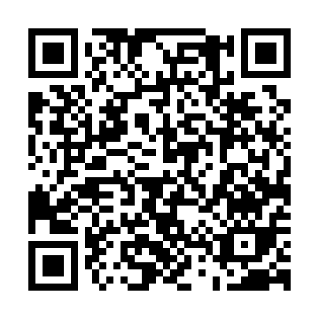QR code for 54411