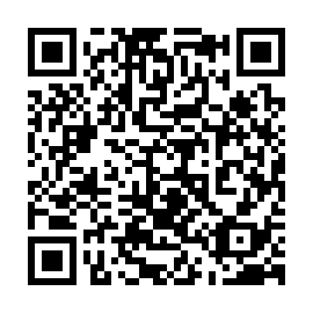 QR code for 545-338