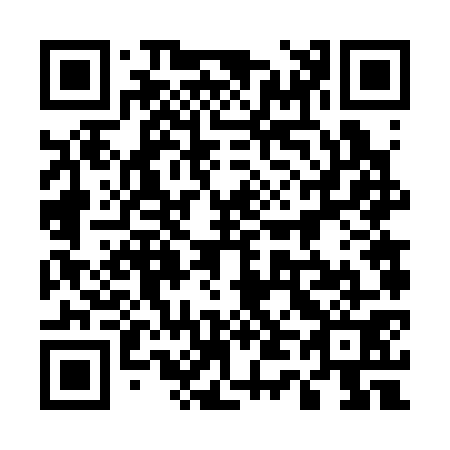 QR code for 546371
