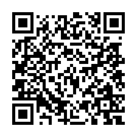 QR code for 55203