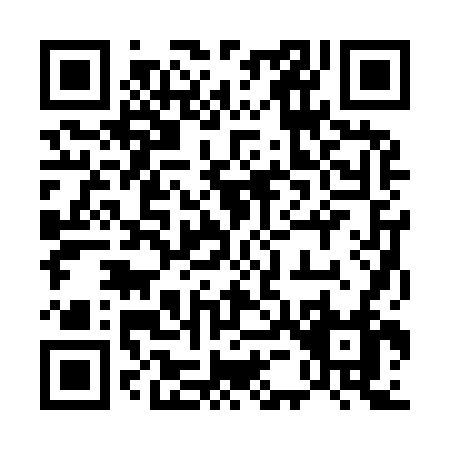QR code for 55296