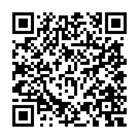 QR code for 55545