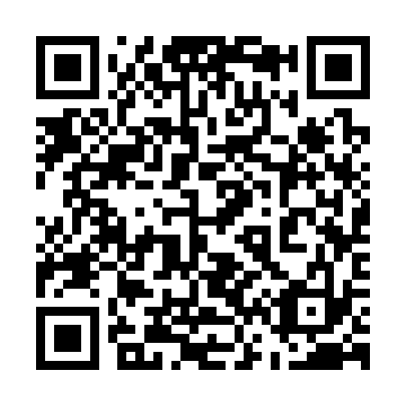 QR code for plate 563-333
