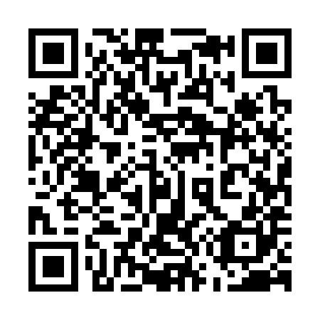 QR code for plate 575-380