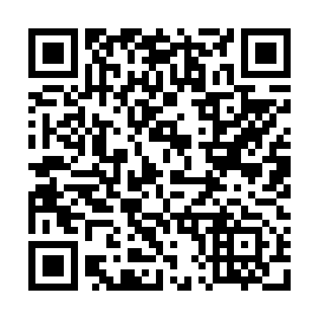 QR code for plate 589-653