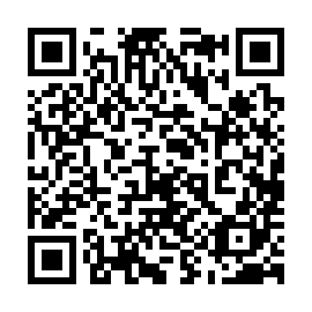 QR code for plate 590-380