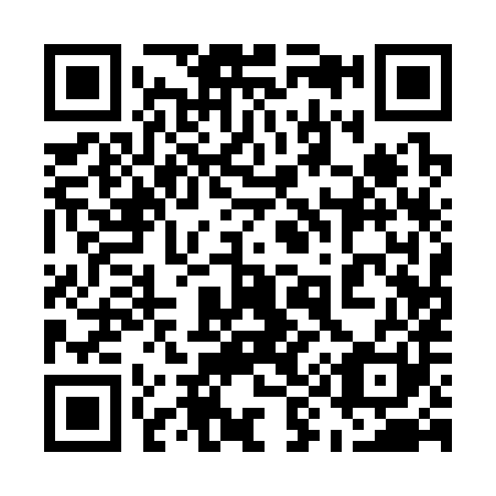 QR code for plate 591-381