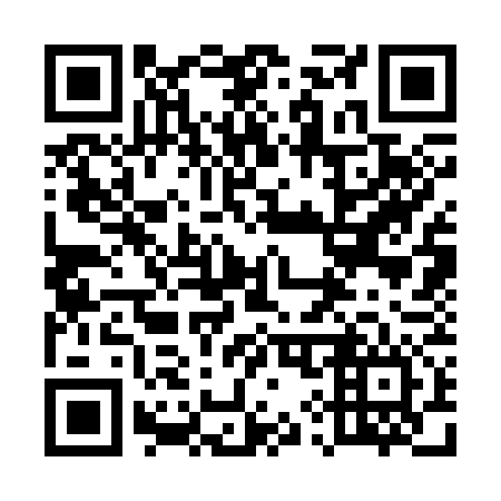 QR code for 593376