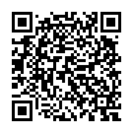QR code for 593493