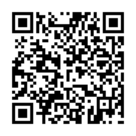 QR code for 595-334
