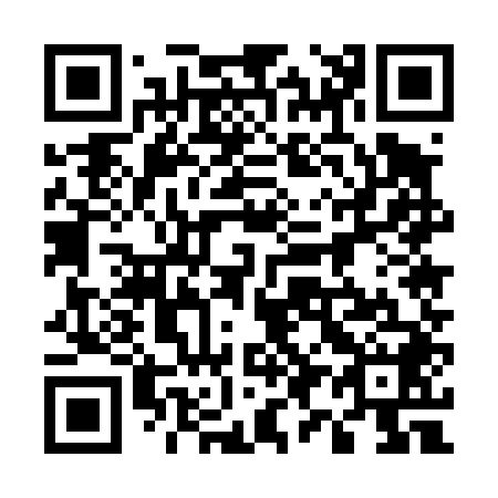 QR code for plate 595-448