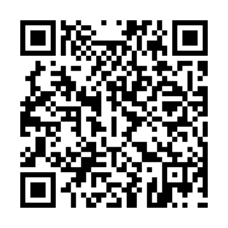 QR code for plate 595-585