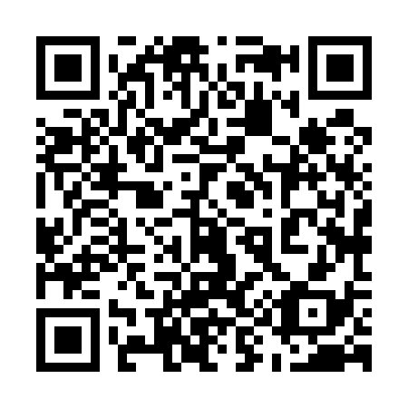 QR code for 598538