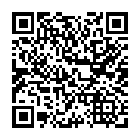 QR code for 599-393