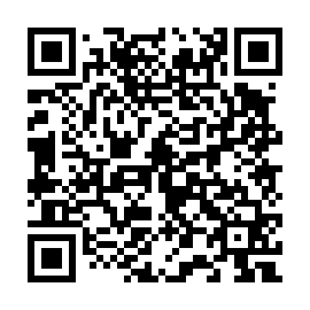 QR code for 600460
