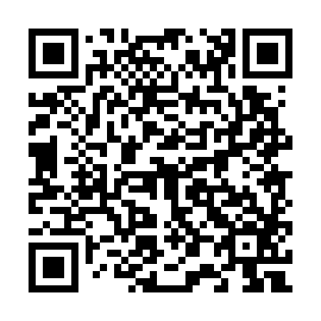 QR code for 600786