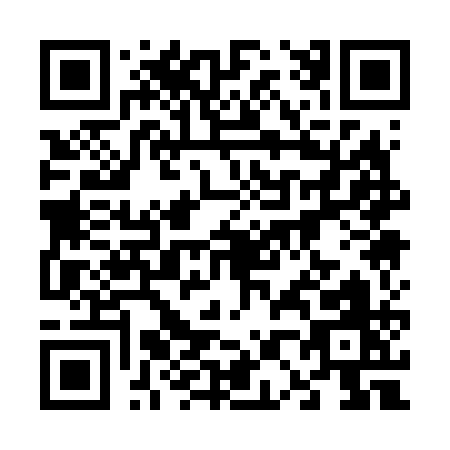 QR code for 60161