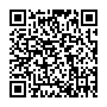QR code for 60538