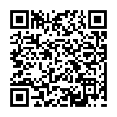 QR code for 60636