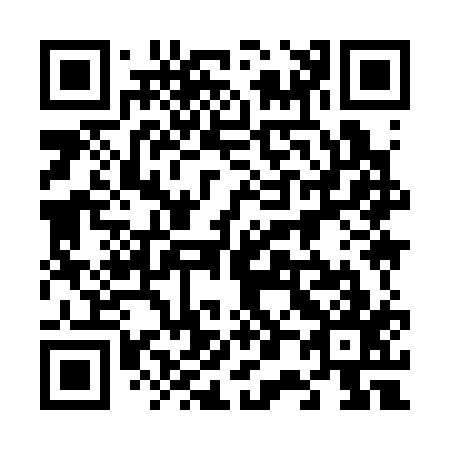 QR code for plate 609-317