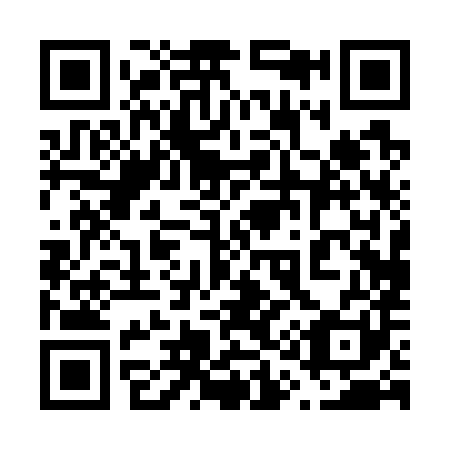 QR code for plate 610-781